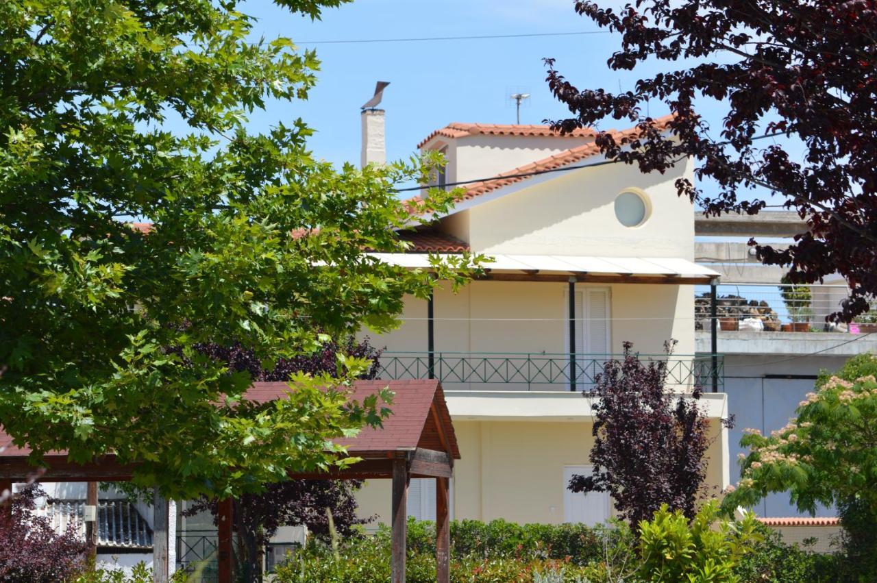 Serenity House Aigio Dimitropoulos别墅 外观 照片